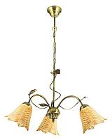 PDT 2042/3 G# 3/Φ ΦΥΛΛΟ ΟΞΥΝΤΕ/ ΕΙΔΙΚΗ ΤΙΜΗ