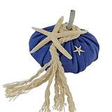 ΚΟΛΟΚΥΘΑ ΛΙΝΗ