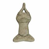 ΔΙΑΚΟΣΜΗΤΙΚΟΣ ΒΑΤΡΑΧΟΣ ΠΕΤΡΙΝΟΣ