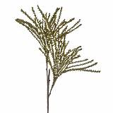 ΚΛΑΔΙ ΠΡΑΣΙΝΟ