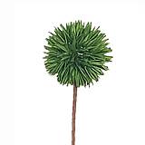 ΛΟΥΛΟΥΔΙ ΠΡΑΣΙΝΟ