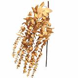 ΚΛΑΔΙ ΜΕ ΛΟΥΛΟΥΔΙΑ ΜΠΕΖ