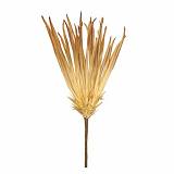 ΛΟΥΛΟΥΔΙ ΙΒΟΥΑΡ-ΚΑΦΕ