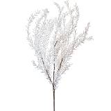 ΚΛΑΔΙ ΜΕ ΛΟΥΛΟΥΔΙΑ ΛΕΥΚΟ