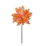 ΛΟΥΛΟΥΔΙ ΠΟΡΤΟΚΑΛΙ