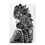 BLACK MAJOR ΠΙΝΑΚΑΣ ΚΑΜΒΑΣ ΛΕΥΚΟ ΜΑΥΡΟ ΞΥΛΟ 80x120xH3,5cm