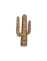 Κάκτος διακ.υδρουάκινθος 38,5Χ75