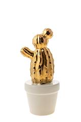 ΔΙΑΚΟΣΜΗΤΙΚΟΣ ΚΕΡΑΜΙΚΟΣ ΚΑΚΤΟΣ ΧΡΥΣΟΣ ΛΕΥΚΗ ΓΛΑΣΤΡΑ 12,7ΕΚ