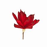 ΛΟΥΛΟΥΔΙ ΚΟΚΚΙΝΟ