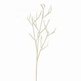 ΚΛΑΔΙ ΛΕΥΚΟ