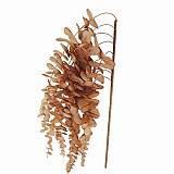 ΚΛΑΔΙ ΜΕ ΛΟΥΛΟΥΔΙΑ ΚΑΦΕ