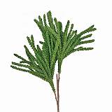 ΚΛΑΔΙ ΠΡΑΣΙΝΟ