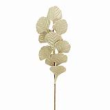 ΚΛΑΔΙ ΜΕ ΛΟΥΛΟΥΔΙΑ ΑΣΗΜΙ