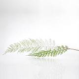 ΚΛΑΔΙ ΦΤΕΡΗ, ΜΕΝΤΑ, 92cm