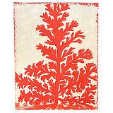 ΠΙΝΑΚΑΣ ΣΕ ΚΑΜΒΑ