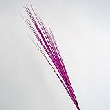 ΚΛΑΔΙ, ΜΩΒ ΜΕΤΑΛΙΖΕ, 80cm