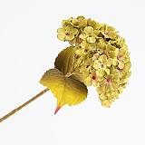 ΟΡΤΑΝΣΙΑ, ΠΡΑΣΙΝΗ, 17x45cm