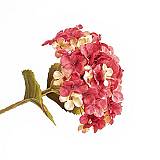 ΟΡΤΑΝΣΙΑ, ΜΠΟΡΝΤΩ, 17x45cm