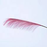 ΠΟΥΠΟΥΛΟ, ΡΟΖ, 79cm