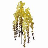 ΚΛΑΔΙ ΜΕ ΛΟΥΛΟΥΔΙΑ ΚΙΤΡΙΝΟ ΚΑΦΕ