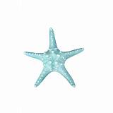 ΔΙΑΚΟΣΜΗΤΙΚΟΣ ΑΣΤΕΡΙΑΣ