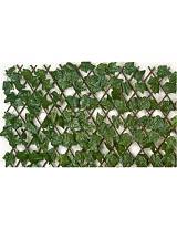 Πέργκολα φυλλωσιά κισσός 1Χ2Μ