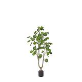 MONEY POCKET ΤΕΧΝΗΤΟ ΦΥΤΟ ΣΕ ΓΛΑΣΤΡΑ PE ΠΡΑΣΙΝΟ H150cm