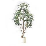 PEACOCK TREE ΤΕΧΝΗΤΟ ΦΥΤΟ ΣΕ ΓΛΑΣΤΡΑ PE ΜΕΤΑΞΩΤΟ ΥΦΑΣΜΑ ΠΡΑΣΙΝΟ H180cm