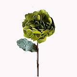 ΛΟΥΛΟΥΔΙ ΠΡΑΣΙΝΟ-ΛΑΔΙ