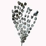 ΚΛΑΔΙ ΜΕ ΛΟΥΛΟΥΔΙΑ ΓΚΡΙ