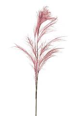 ΤΕΧΝΗΤΟ ΦΥΤΟ ΠΑΜΠΑΣ ΡΟΖ 110ΕΚ ΜΕ 11ΚΛΑΔΙΑ