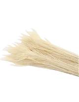 Κλαδιά με φτερά παγωνιού φυσικό Η85cm