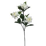 ΚΛΑΔΙ ΕΚΡΟΥ ΓΑΡΔΕΝΙΑ Y60cm. 24/288KIB