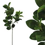 ΚΛΑΔΙ ΦΥΛΛΟ ΓΕΜΙΣΜΑΤΟΣ ΠΡΑΣΙΝΟ REAL TOUCH Υ75/40cm 40/240ΚΙΒ