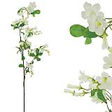 ΚΛΑΔΙ ΚΡΕΜΑΣΤΟ ΓΙΑΣΕΜΙ ΛΕΥΚΟ Υ74/124cm 12/96KIB