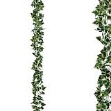 ΓΙΡΛΑΝΤΑ ΚΙΣΣΟΣ ΔΙΧΡΩΜΟΣ ΑΛΥΣΙΔΑ Υ270cm 1/96ΚΙΒ