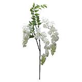 ΚΛΑΔΙ ΑΚΑΚΙΑ ΣΑΜΠΑΝΙ X3 Y75-98cm. 12/144KIB