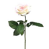 ΚΛΑΔΙ ΤΡΙΑΝΤΑΦΥΛΛΟ ΡΟΖ ΜΟΝΟ Υ65cm. 24/288ΚΙΒ