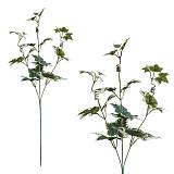 ΚΛΑΔΙ ΚΙΣΣΟΣ ΔΙΧΡΩΜΟΣ Y56cm. 12/144KIB