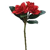 ΚΛΑΔΙ ΚΟΚΚΙΝΟ ΑΝΘΟΣ  Χ2 Y50cm. 12/120KIB