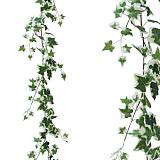 ΓΙΡΛΑΝΤΑ ΚΙΣΣΟΣ ΔΙΧΡΩΜΟΣ Υ185cm 36/216ΚΙΒ