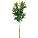 ΚΛΑΔΙ ΠΡΑΣΙΝΟ ΦΥΛΛΑΡΑΚΙ Y56cm 60/240KIB