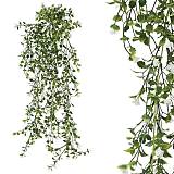 ΡΙΖΑ ΚΡΕΜΑΣΤΗ ΑΝΘΑΚΙ ΜΙΚΡΟ ΛΕΥΚΟ 30x70/80cm 36/108ΚΙΒ