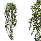 ΡΙΖΑ ΚΡΕΜΑΣΤΗ ΑΝΘΑΚΙ ΜΙΚΡΟ ΦΟΥΞ 30x70/80cm 36/108ΚΙΒ