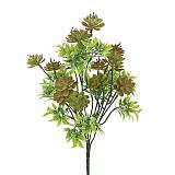 ΜΠΟΥΚΕΤΟ ΜΙΞ ΠΑΧΥΦΥΤΟ ΜΕ ΦΥΛΛΑΡΑΚΙΑ ΠΡΑΣΙΝΟ/ΚΑΦΕ Χ5 Φ25x43cm 72/288ΚΙΒ