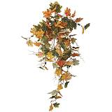 ΡΙΖΑ ΚΡΕΜΑΣΤΗ ΚΛΗΜΑ ΦΘΙΝΟΠΩΡΙΝΑ ΦΥΛΛΑ - Υ95cm 12/72KIB