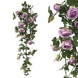 ΡΙΖΑ ΚΡΕΜΑΣΤΗ ΤΡΙΑΝΤΑΦΥΛΛΙΑ ΛΙΛΑ - Y120cm 19/192KIB