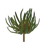 ΡΙΖΑ ΠΑΧΥΦΥΤΟ ΧΩΝΕΥΤΟ ΠΡΑΣΙΝΟ/KOKKINO - Y21cm 24/240ΚIB