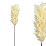 ΚΛΑΔΙ ΠΑΜΠΑΣ ΚΟΡΤΑΔΕΡΙΑ ΕΚΡΟΥ - Y86cm 12/144ΚIB