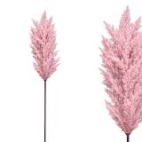 ΚΛΑΔΙ ΠΑΜΠΑΣ ΚΟΡΤΑΔΕΡΙΑ ΡΟΖ - Y86cm 12/144ΚIB